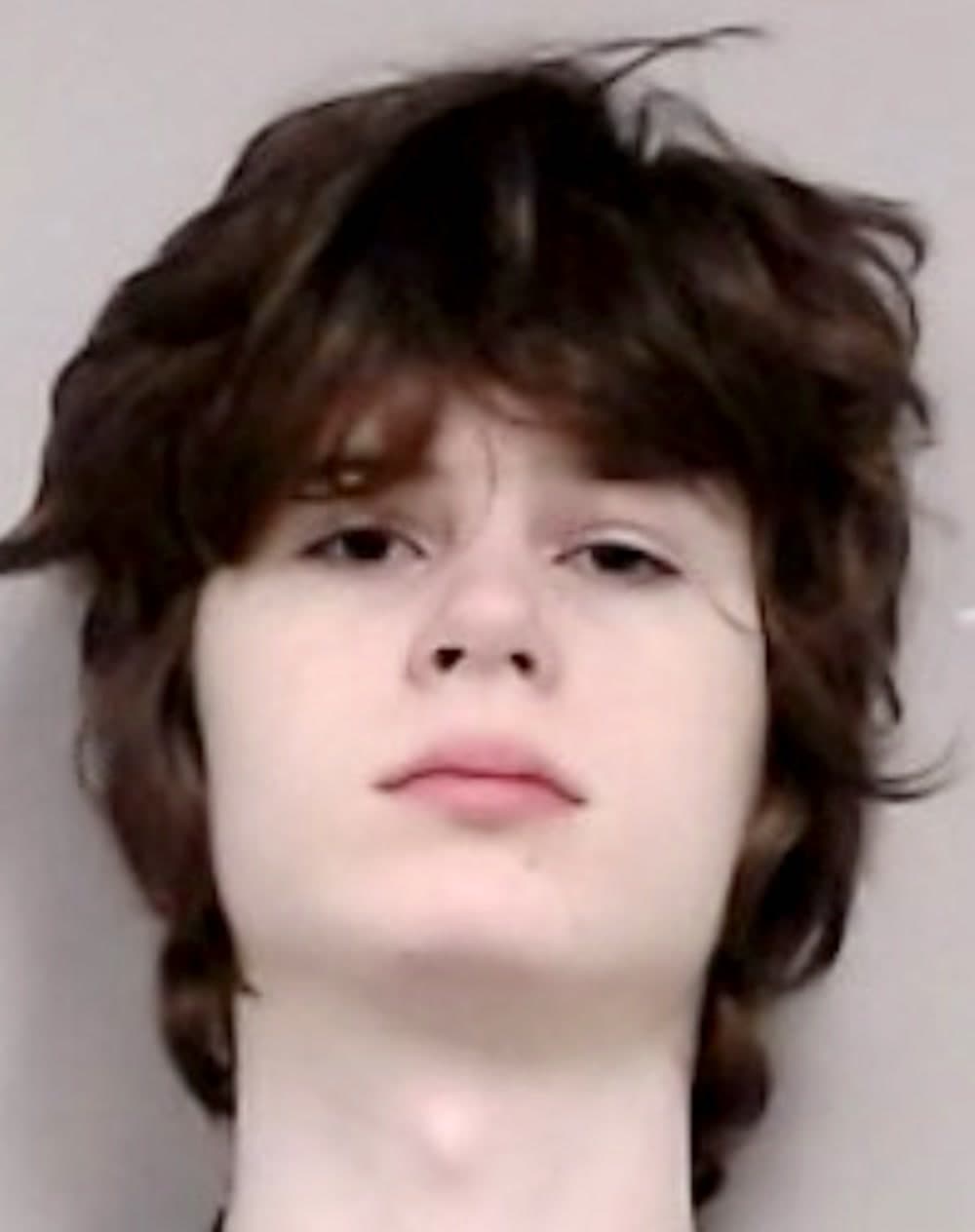 Booking photo of Alexandros Paporakis
