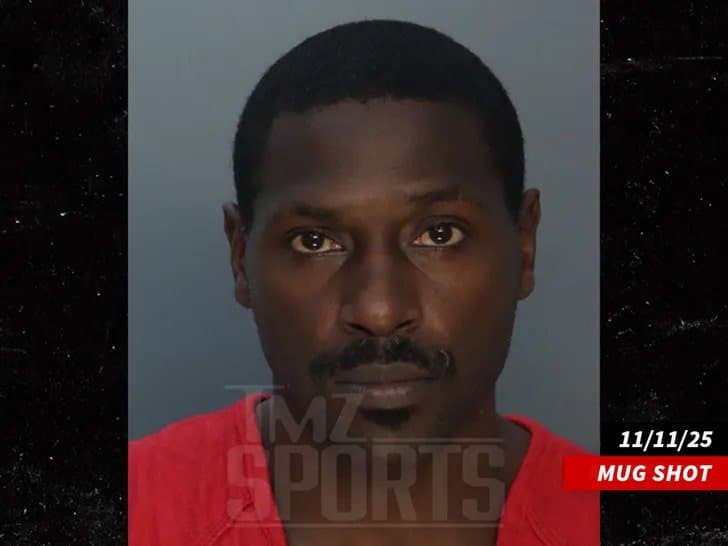 Booking photo of Antonio Brown