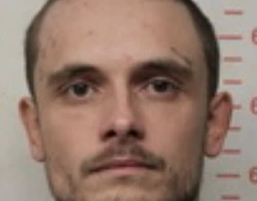 Booking photo of Bryson Francka