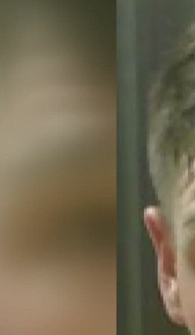 Booking photo of Colton Contant