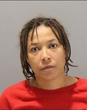 Booking photo of Erika Mims