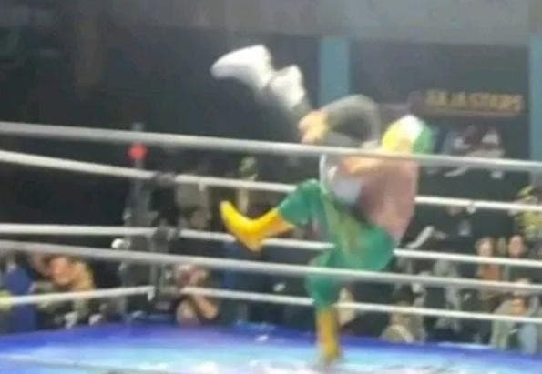 Masked wrestler Hijo de Fishman in the ring