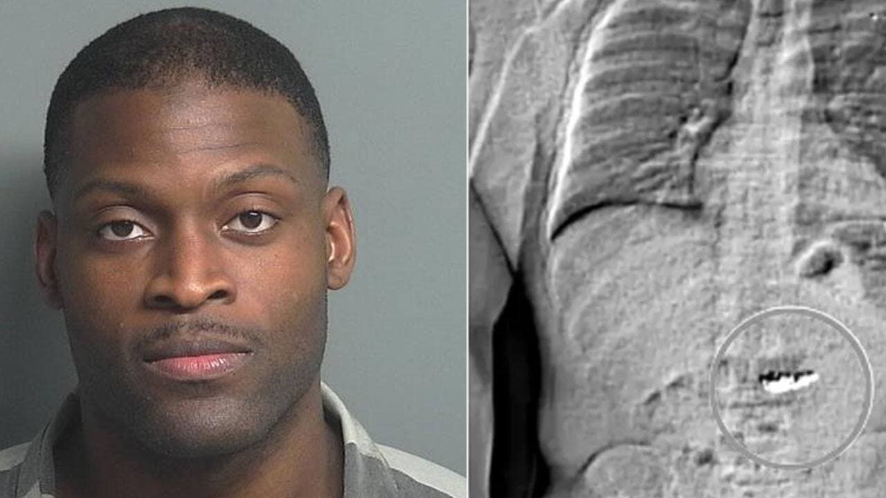 Jaythan Gilder booking photo and body scan